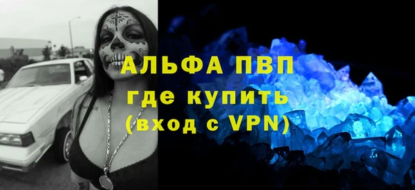 ECSTASY Алзамай