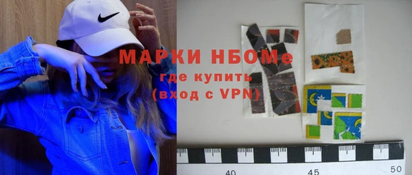 хмурый Сатка