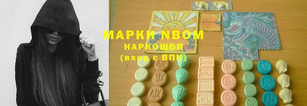 мет Алексин