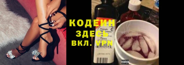 ECSTASY Алзамай