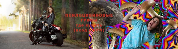 мет Алексин