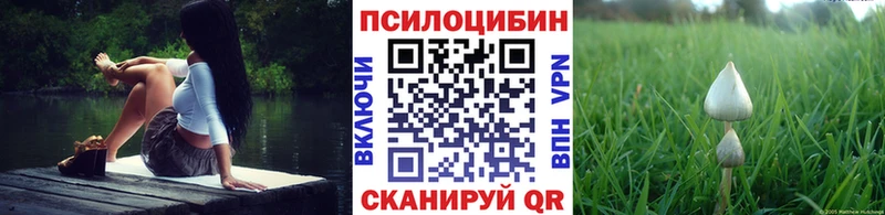 Псилоцибиновые грибы прущие грибы  где можно купить наркотик  Богучар 